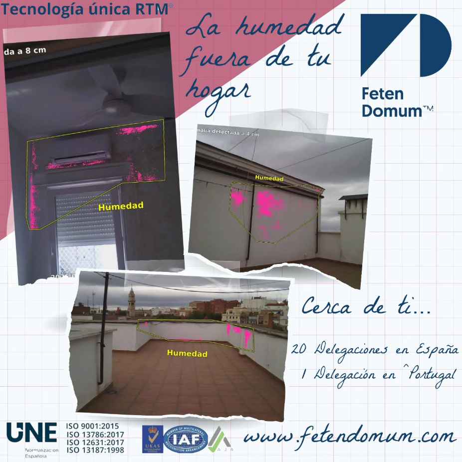 feten domum