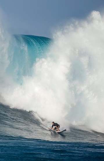 boardshop