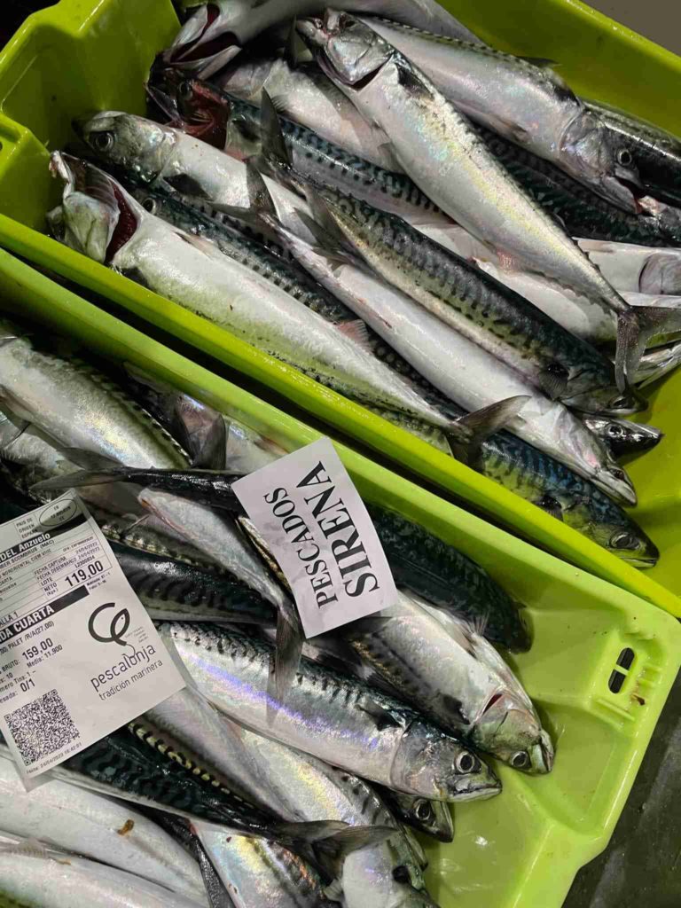pescados sirena